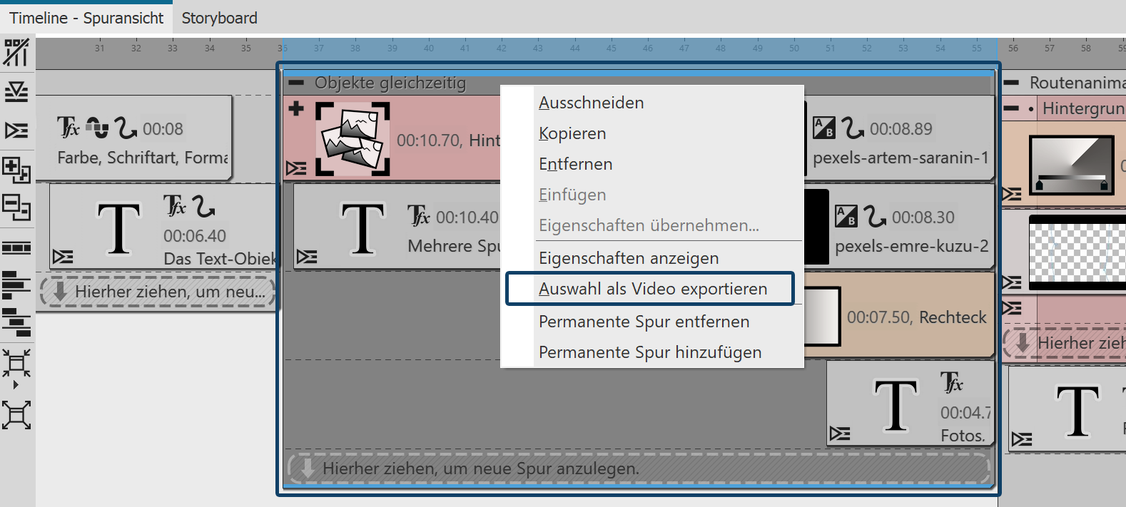 Auswahl als Video exportieren (Stages)