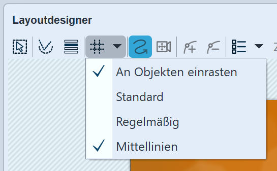 Optionen für Raster