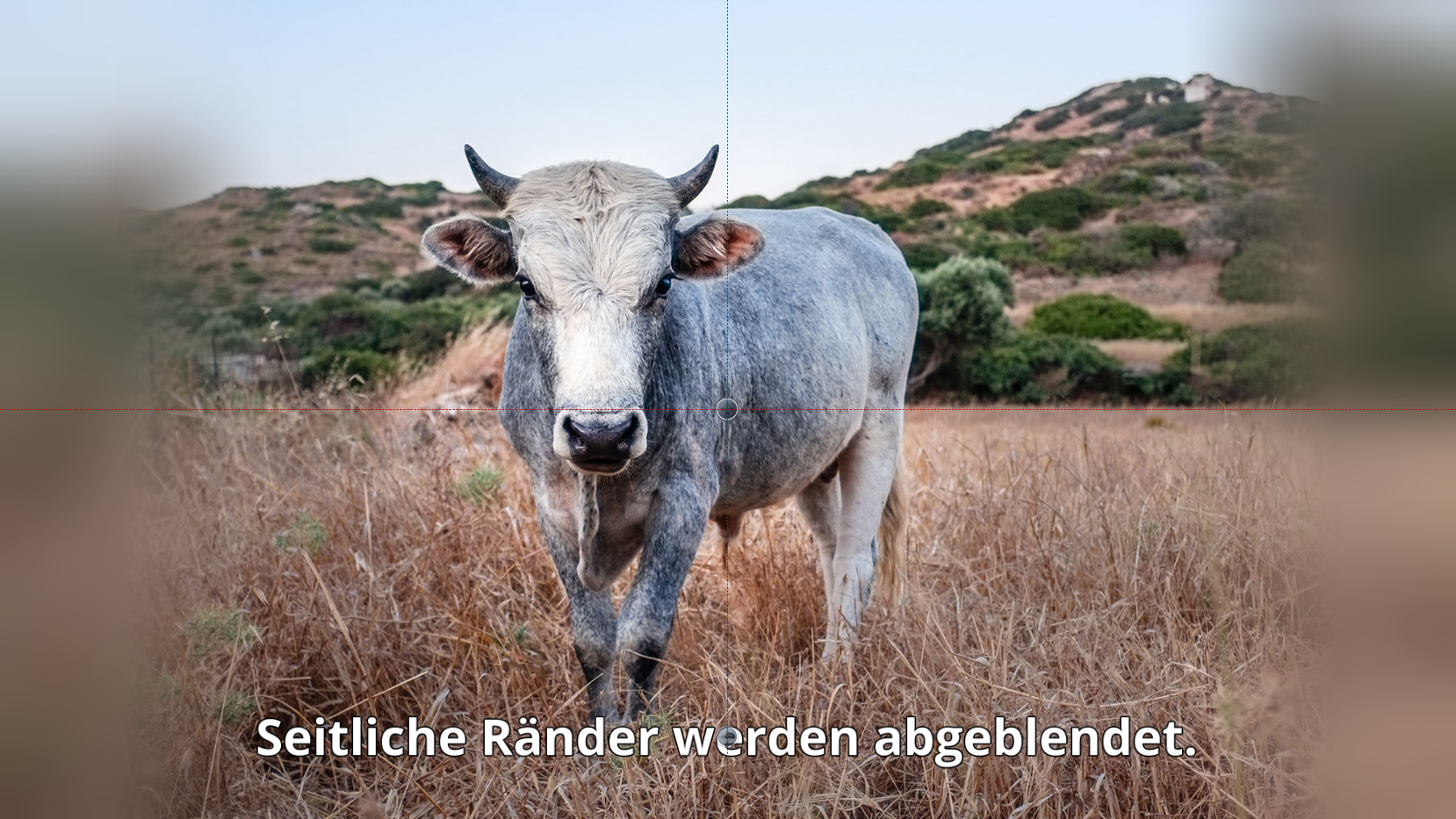 Hauptbild sanft ausgeblendet