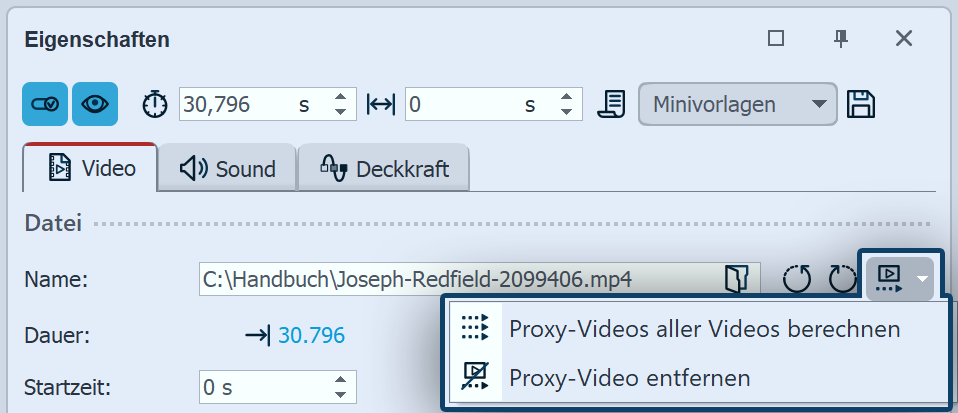 Proxy-Einstellungen für Video-Objekt