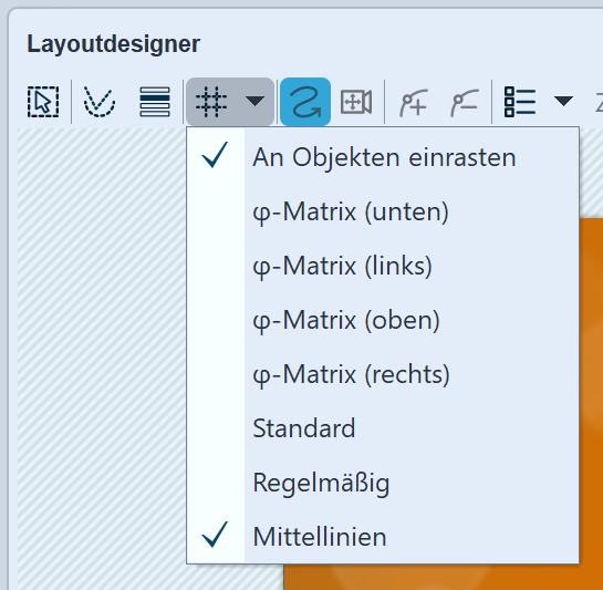 Optionen für Raster Optionen für Raster