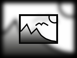 Picture-in-Picture Picture-in-Picture