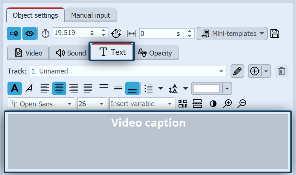 Video properties, Text tab